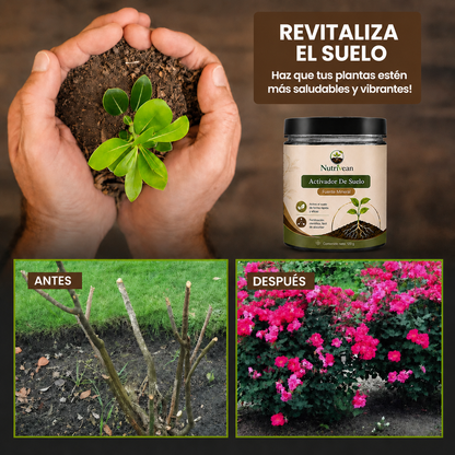 Activador / Mejorador De Suelo Para Plantas Más Sanas y Hermosas