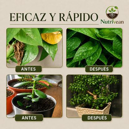 Activador / Mejorador De Suelo Para Plantas Más Sanas y Hermosas