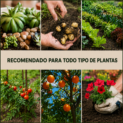 Activador / Mejorador De Suelo Para Plantas Más Sanas y Hermosas