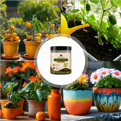 Activador / Mejorador De Suelo Para Plantas Más Sanas y Hermosas